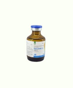 Biocaine 2% Injection