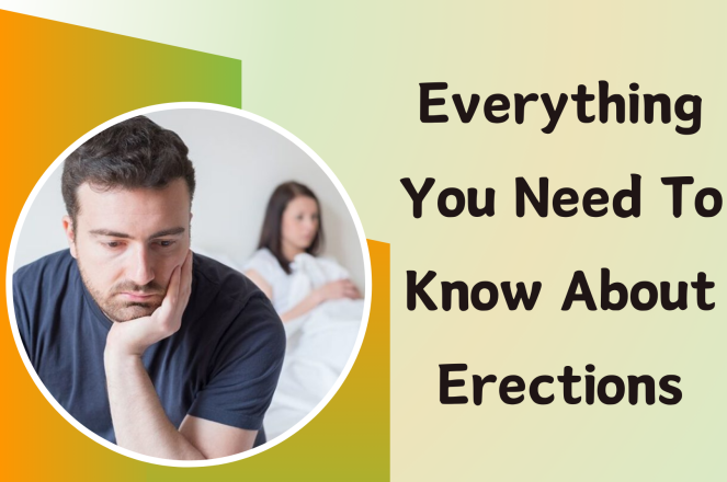 Everything You Need To Know About Erections