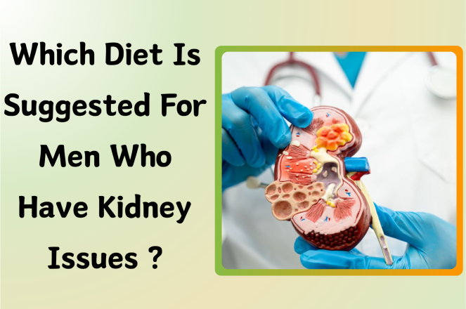 Which Diet Is Suggested for Men Who Have Kidney Issues?