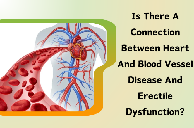 a diagram of a human bodyIs there a connection between heart and blood vessel disease and erectile dysfunction?