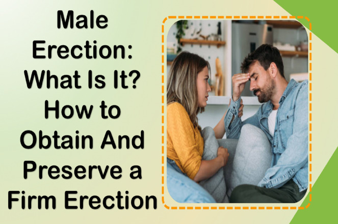 Male Erections: What Is It? How to Obtain and Preserve a Firm Erection