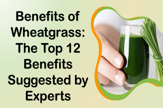 Benefits of Wheatgrass: The Top 12 Benefits Suggested by Experts