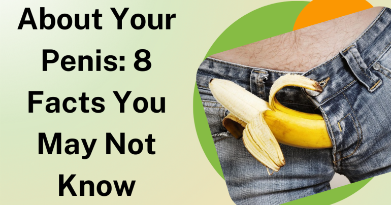 About Your Penis: 8 Facts You May Not Know
